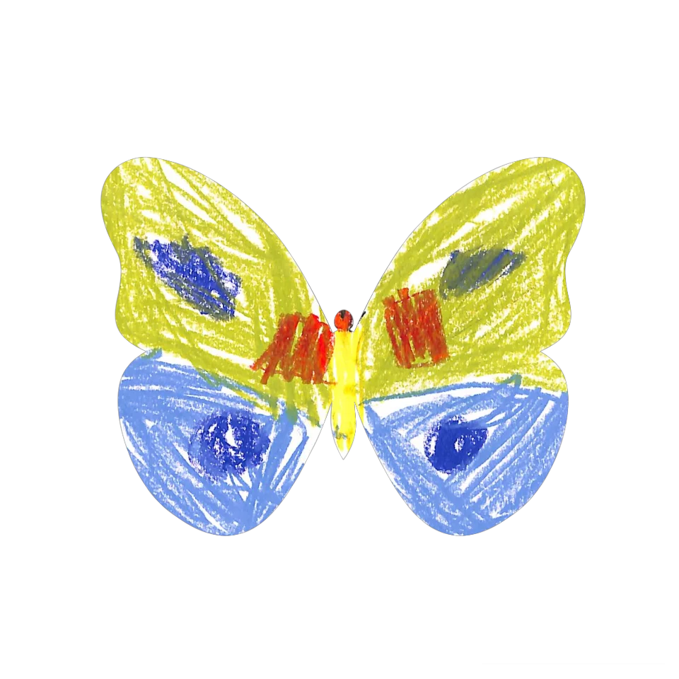 Original Butterfly Image