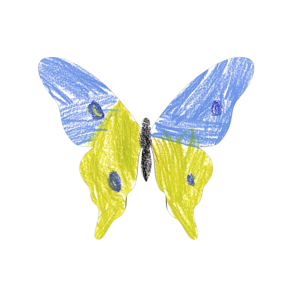 Original Butterfly Image