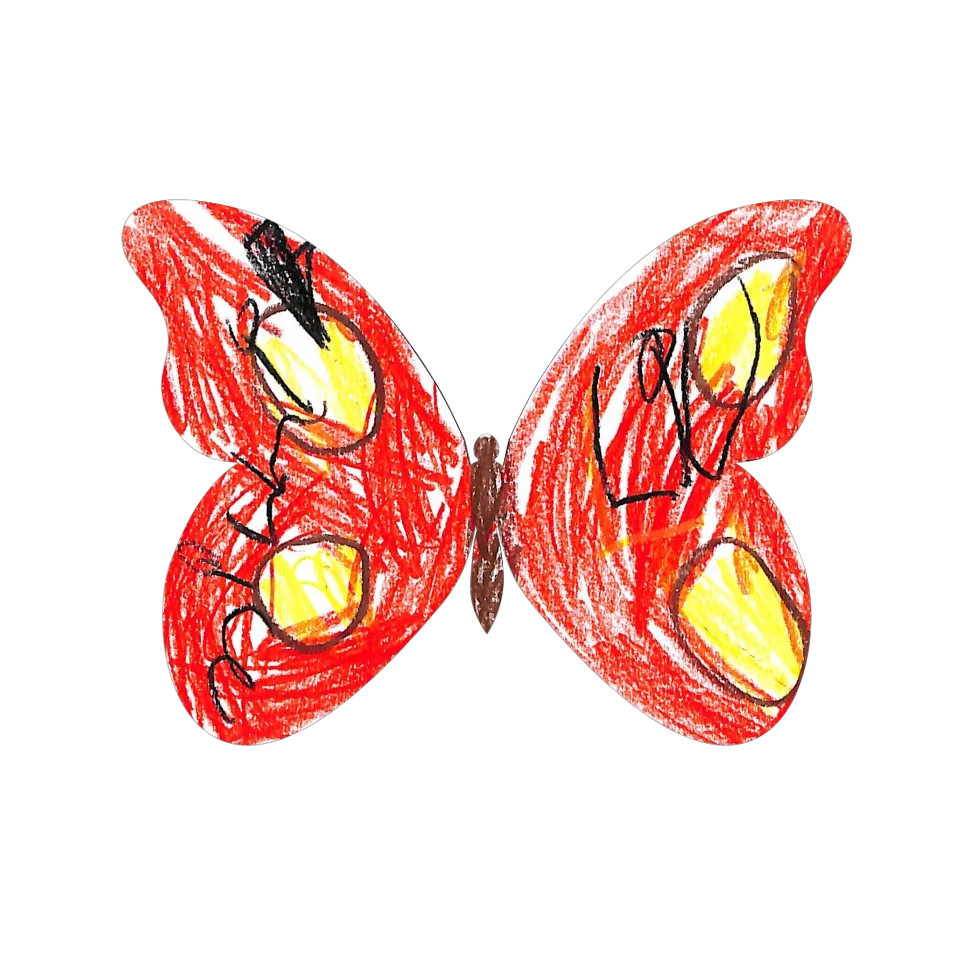 Original Butterfly Image