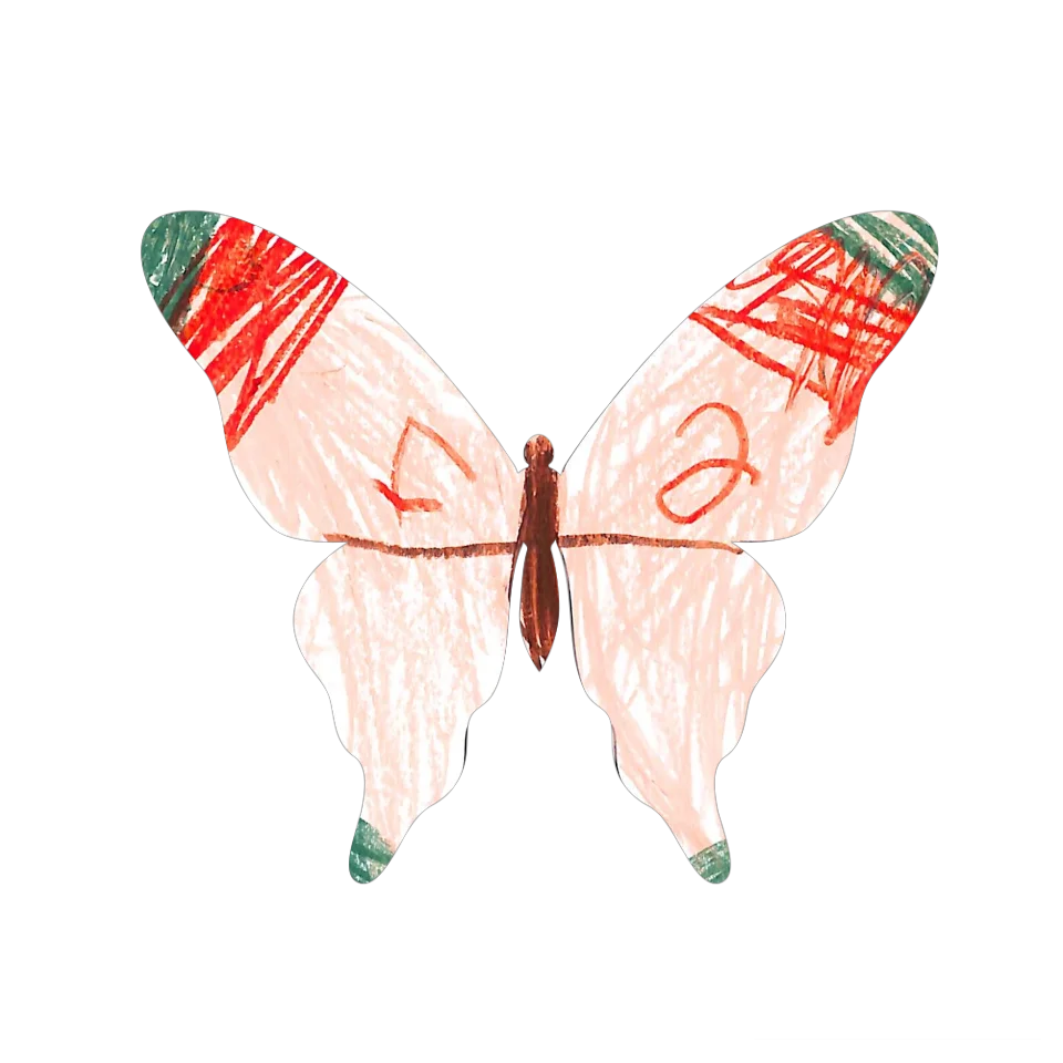 Original Butterfly Image