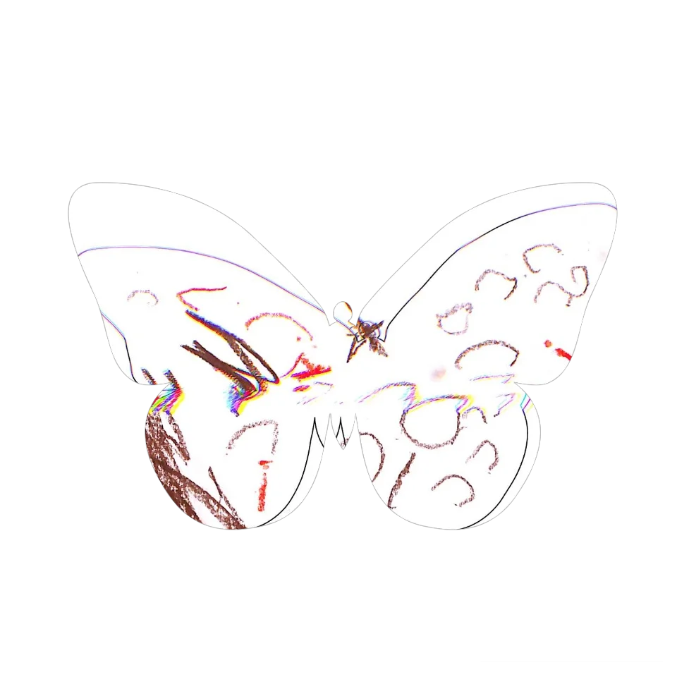Original Butterfly Image