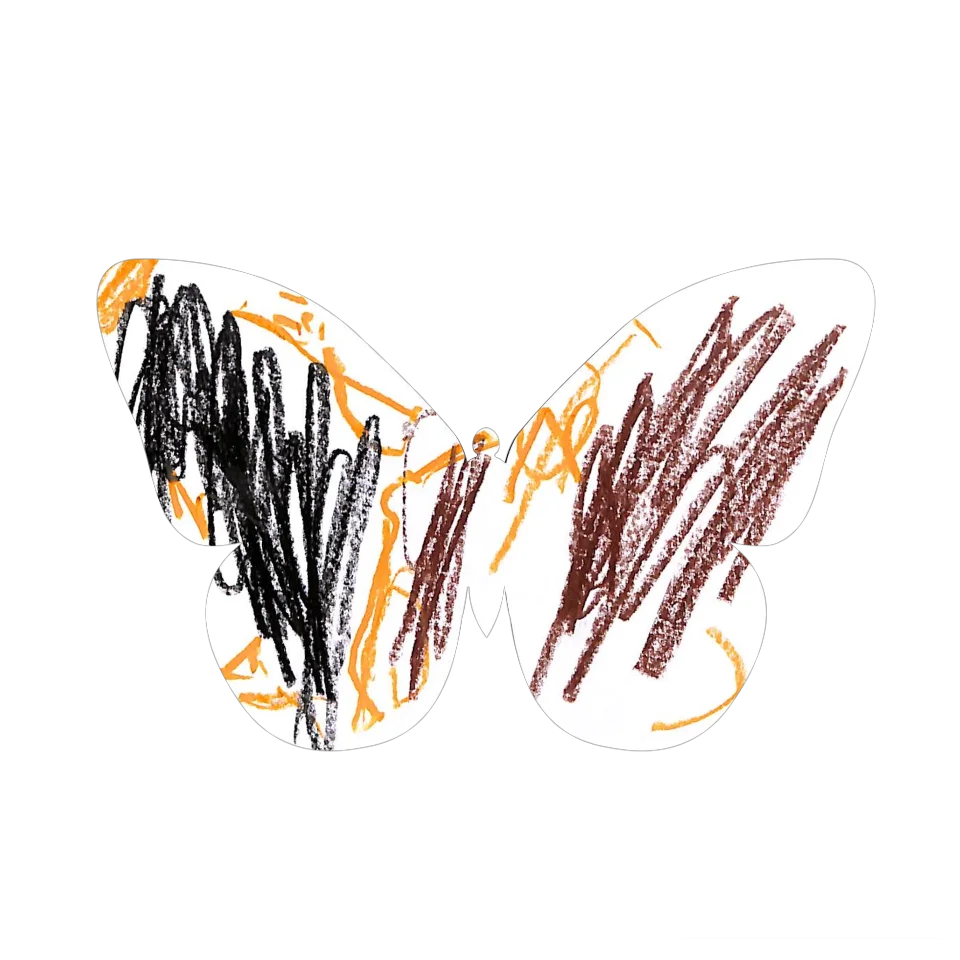 Original Butterfly Image