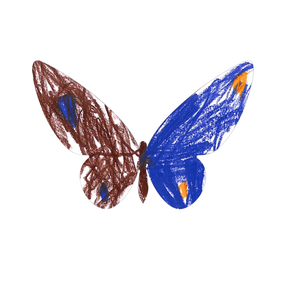 Original Butterfly Image