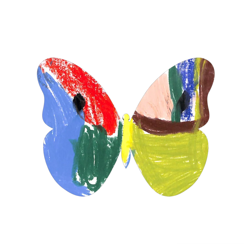 Original Butterfly Image