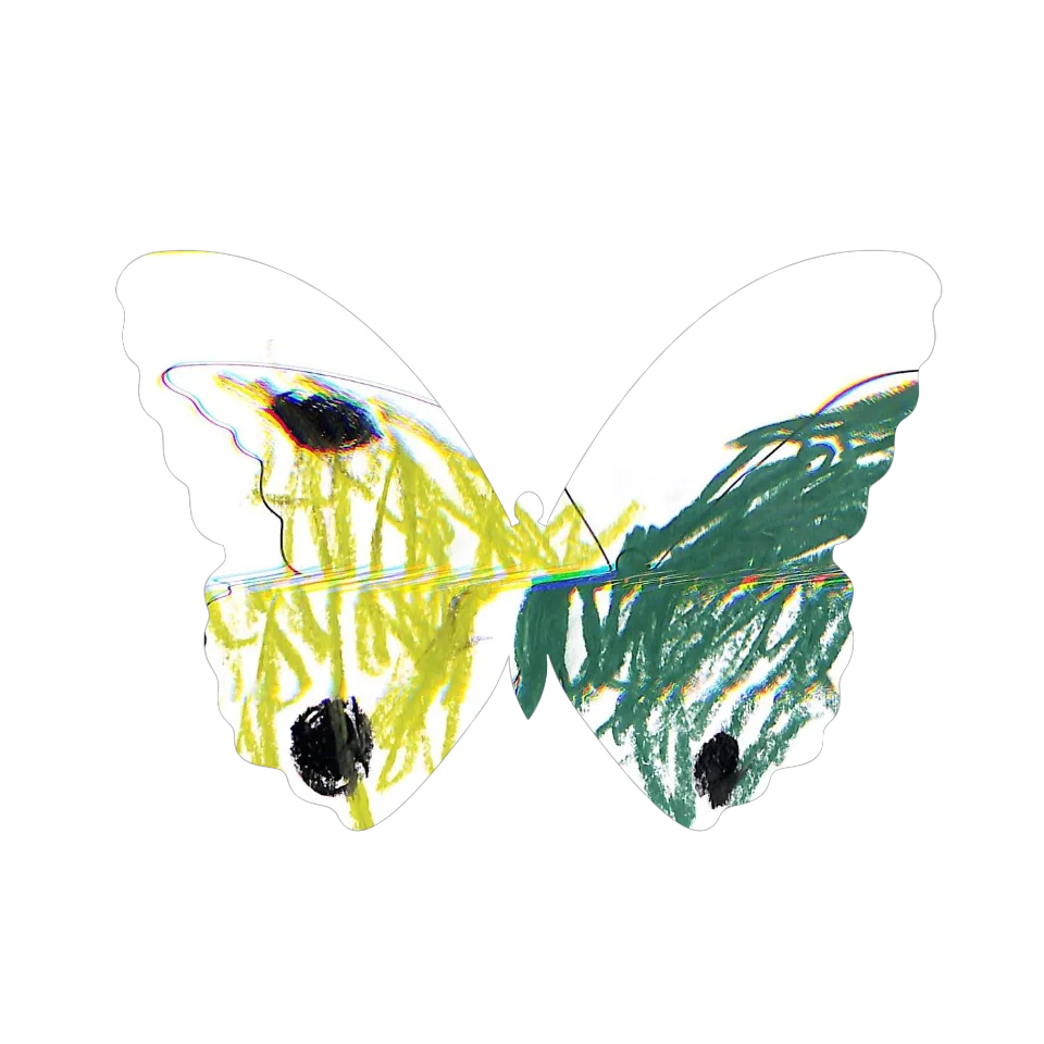 Original Butterfly Image
