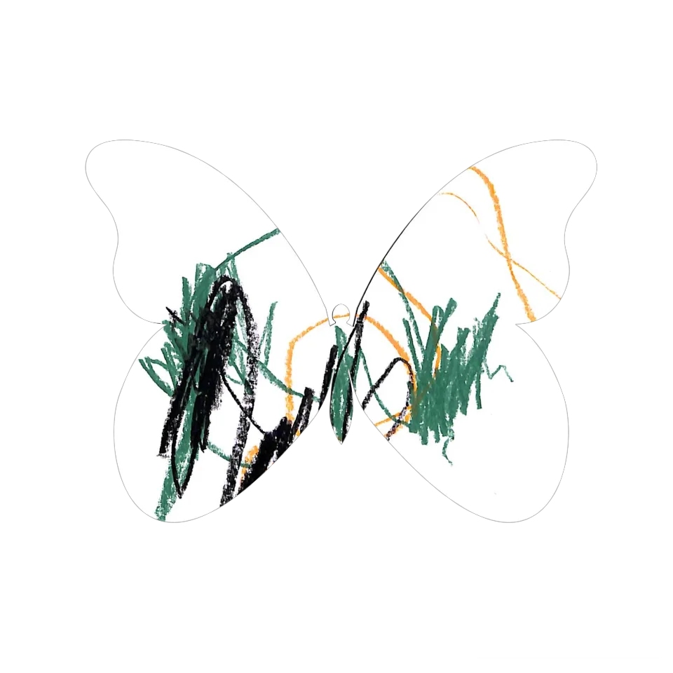 Original Butterfly Image