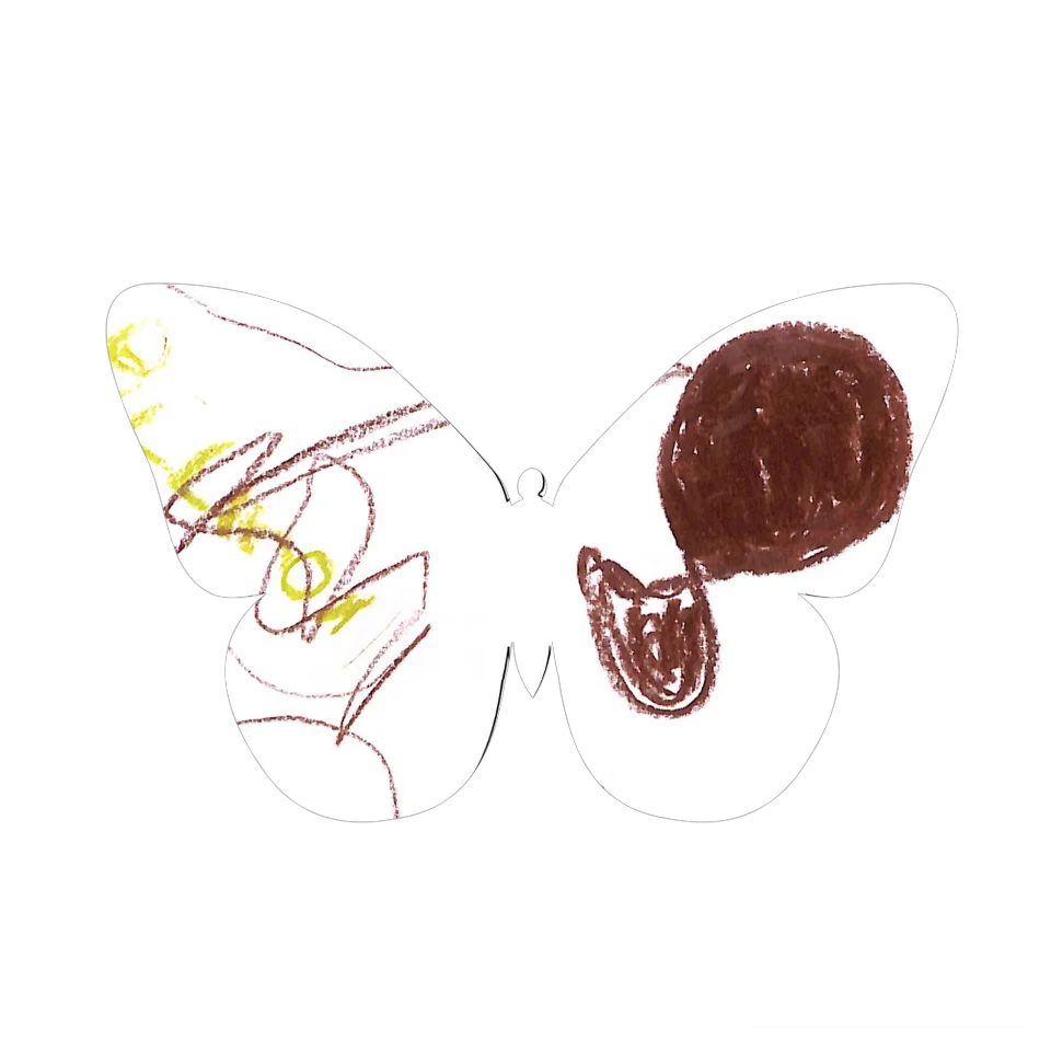 Original Butterfly Image