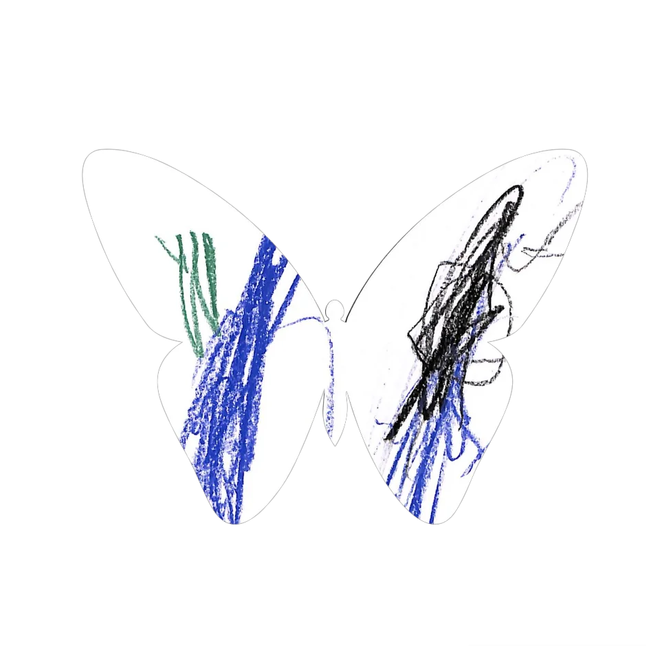Original Butterfly Image