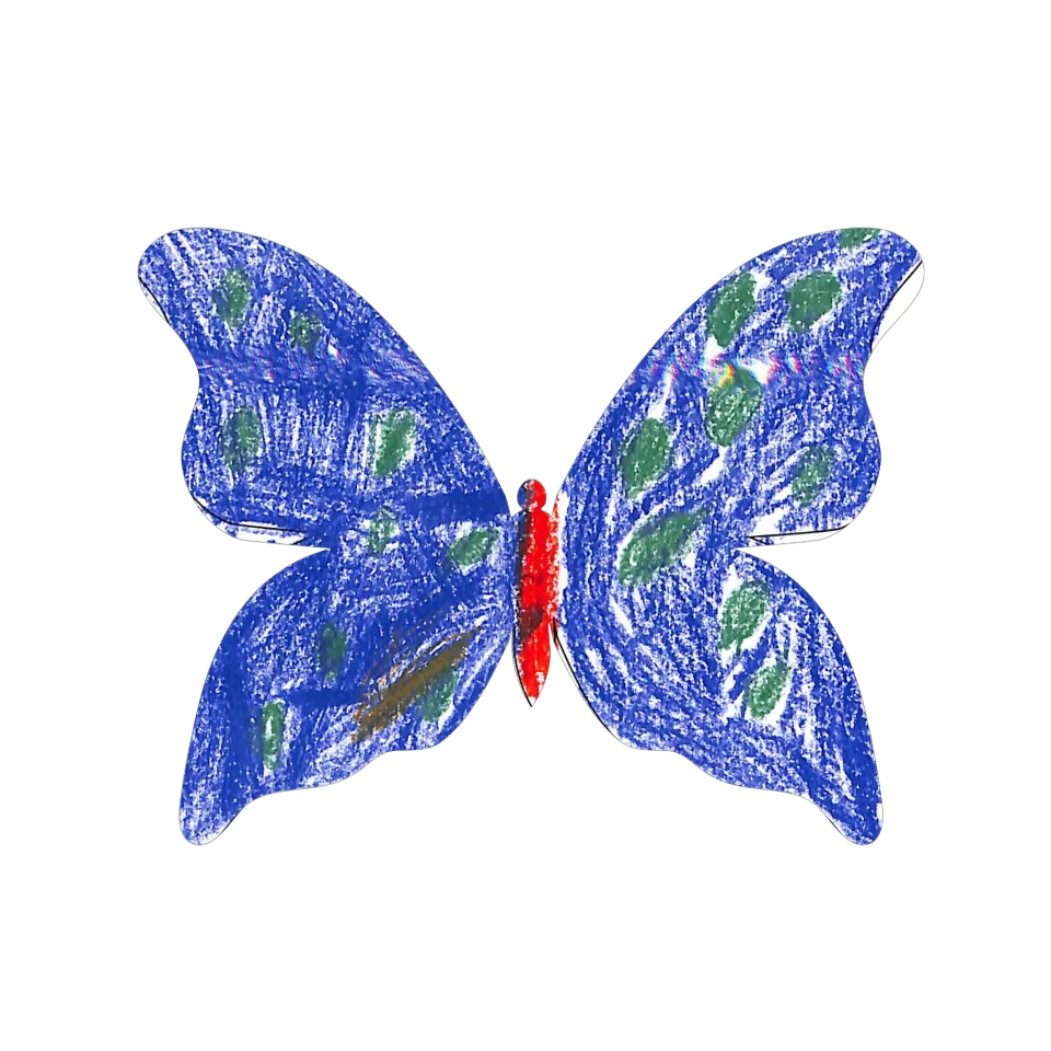 Original Butterfly Image