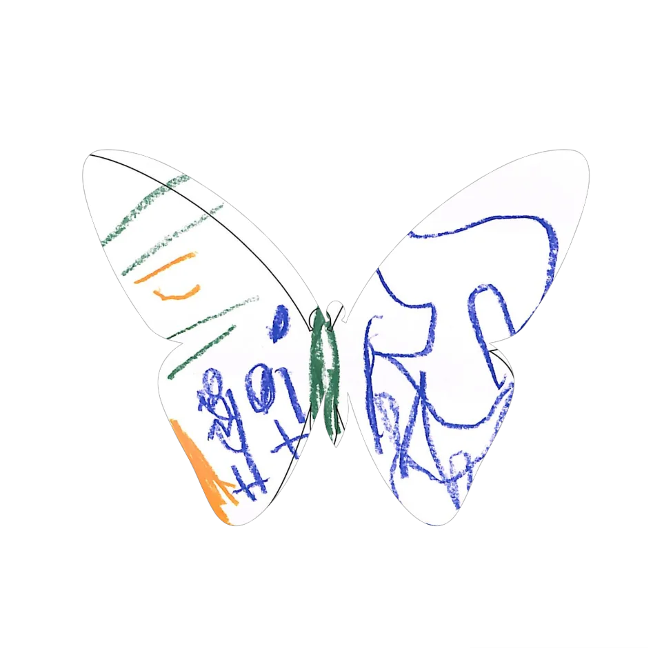 Original Butterfly Image