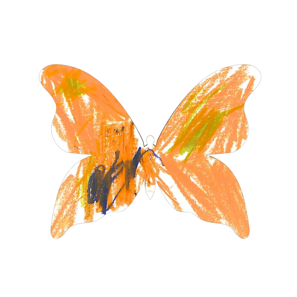 Original Butterfly Image
