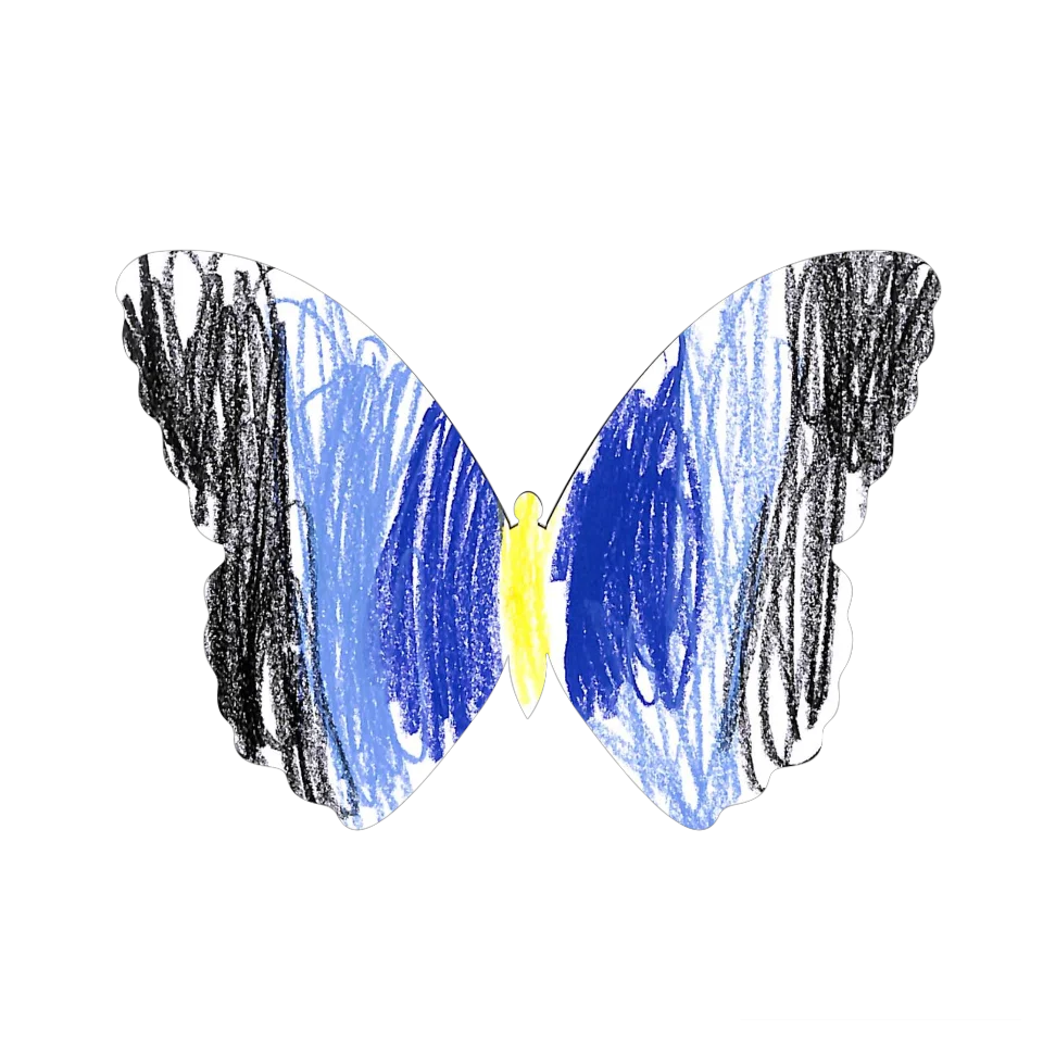 Original Butterfly Image