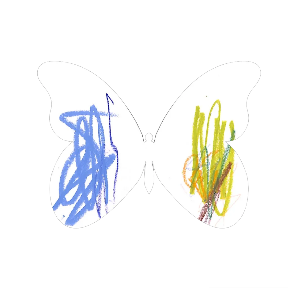 Original Butterfly Image