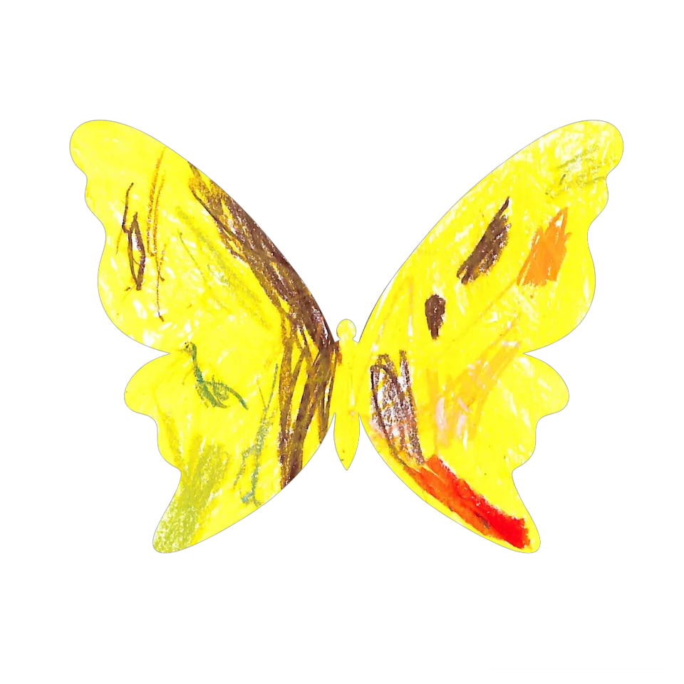 Original Butterfly Image