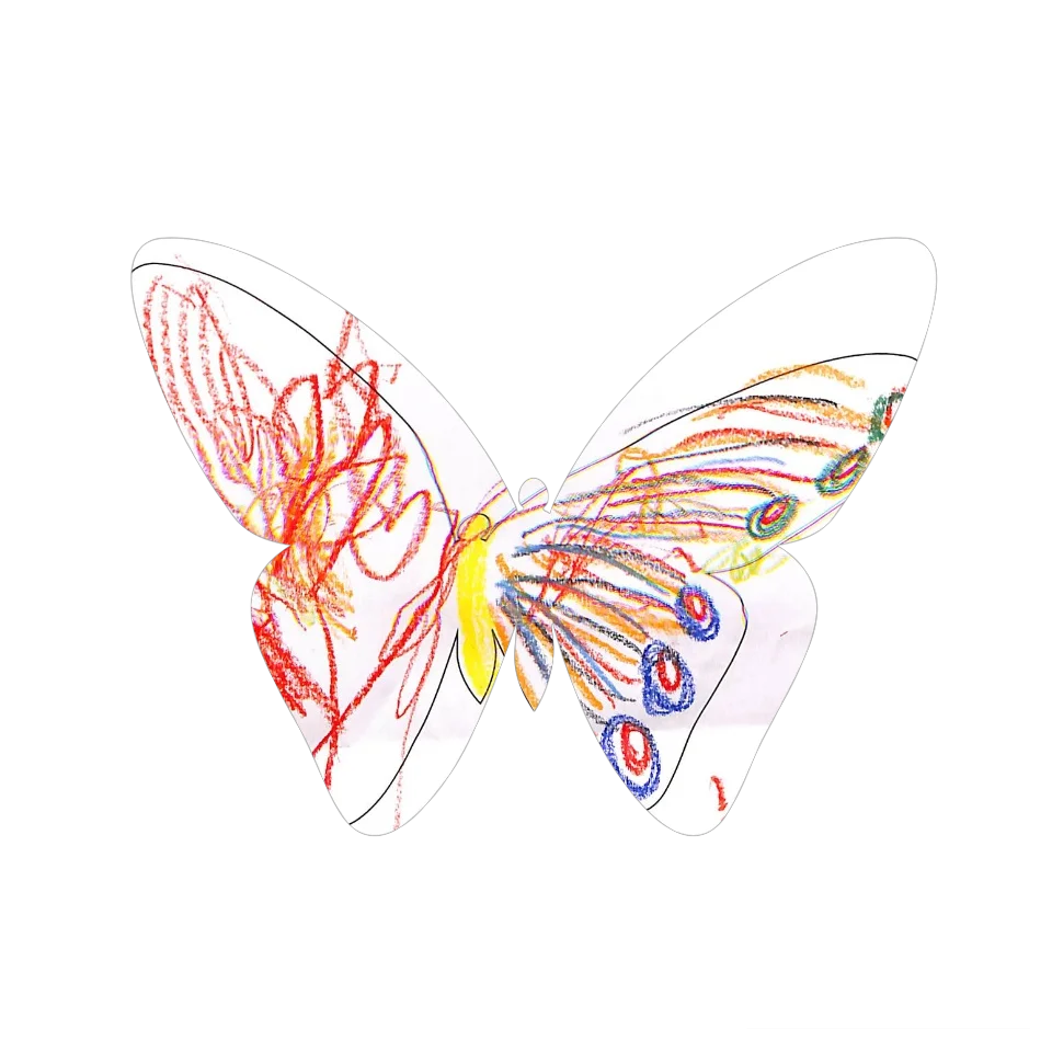 Original Butterfly Image