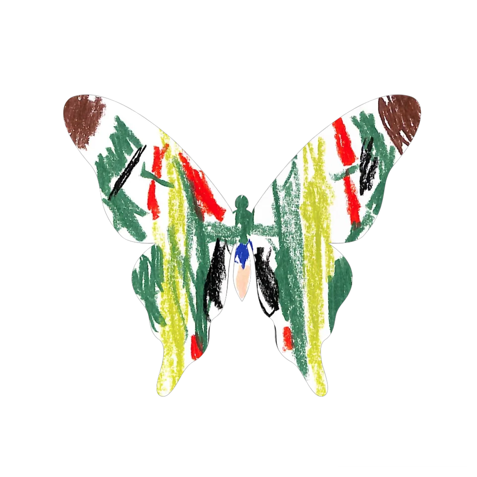 Original Butterfly Image