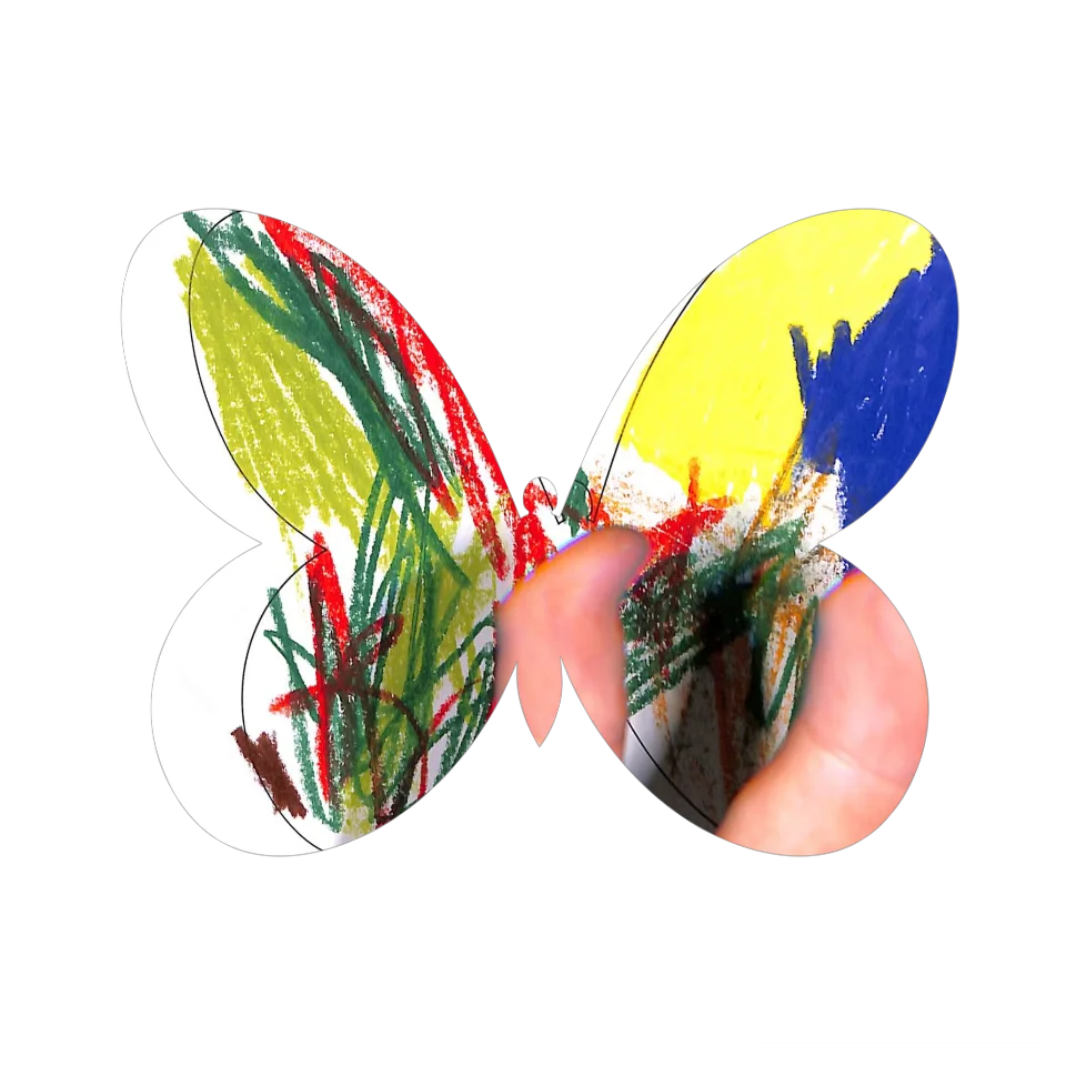 Original Butterfly Image
