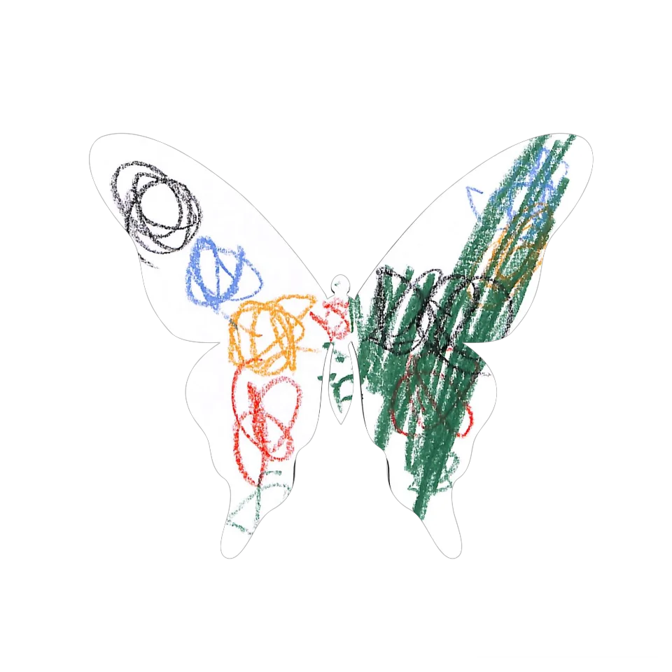Original Butterfly Image