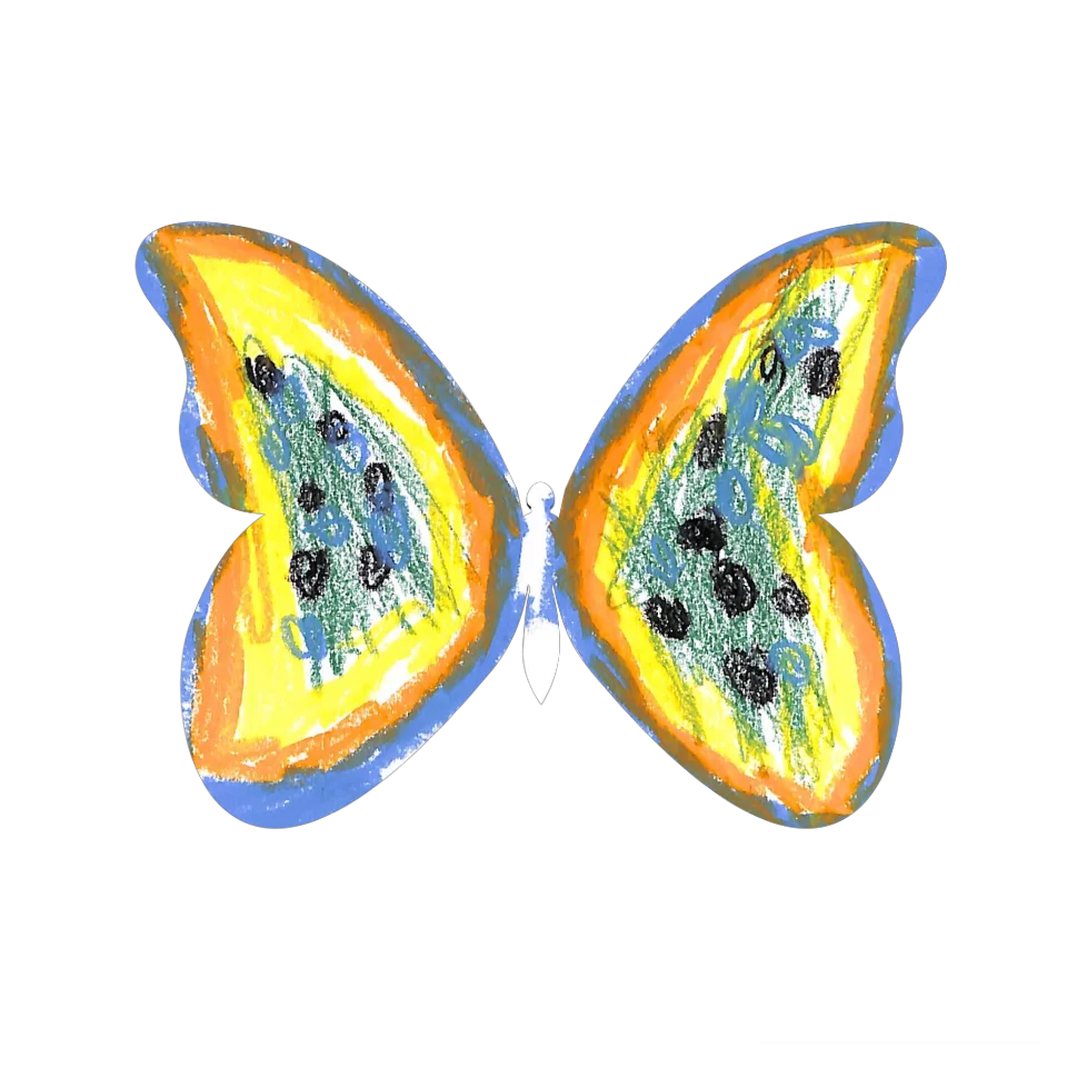 Original Butterfly Image