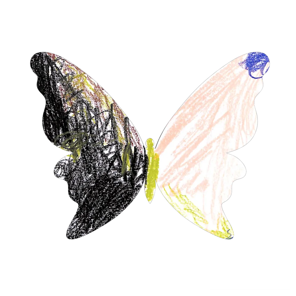 Original Butterfly Image