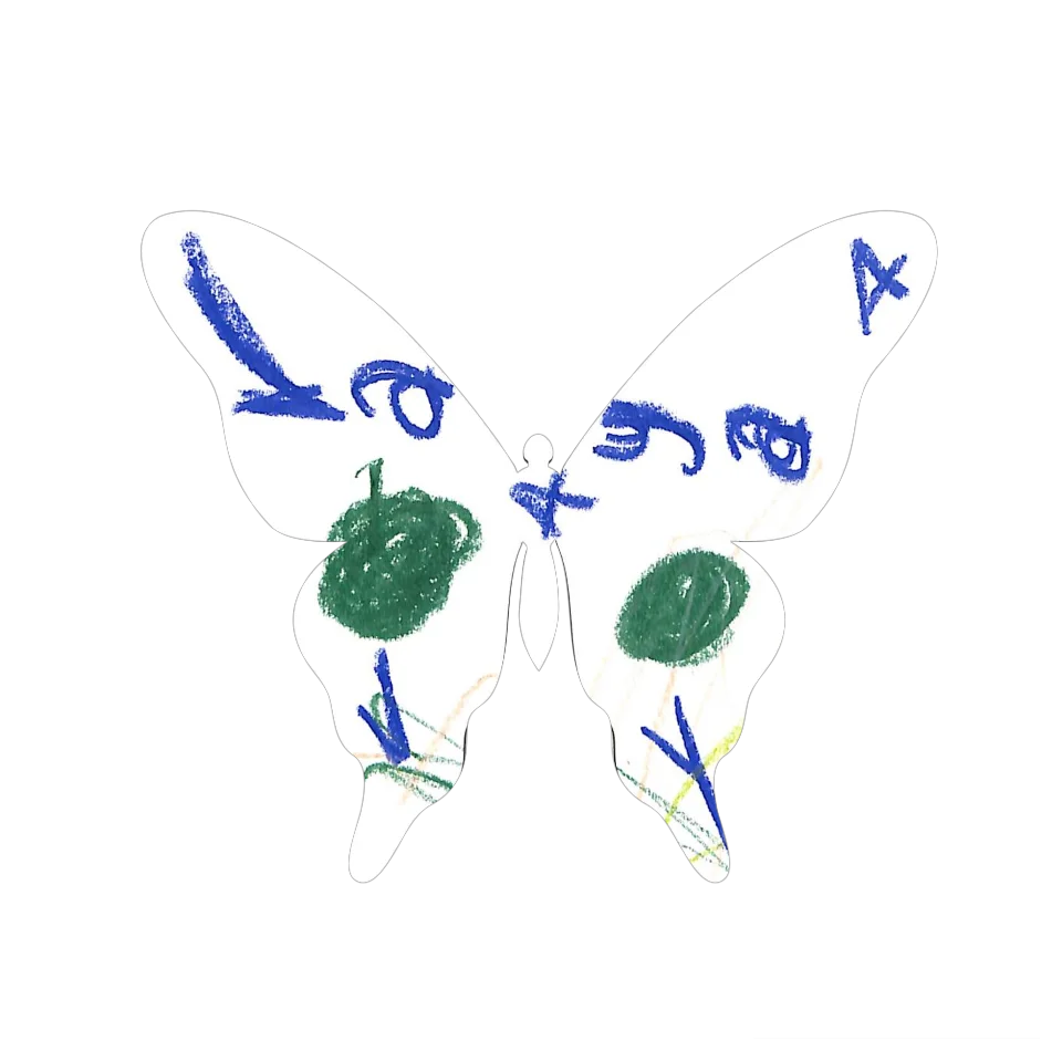 Original Butterfly Image