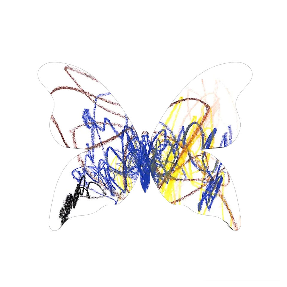 Original Butterfly Image