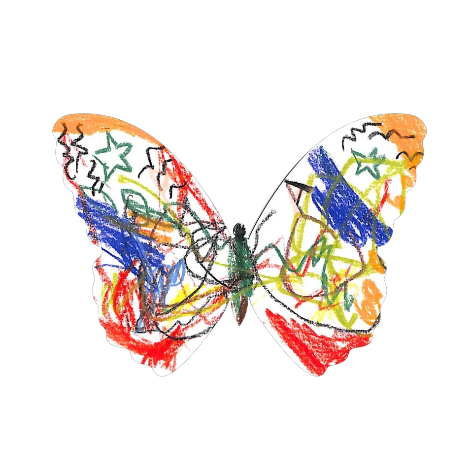 Original Butterfly Image