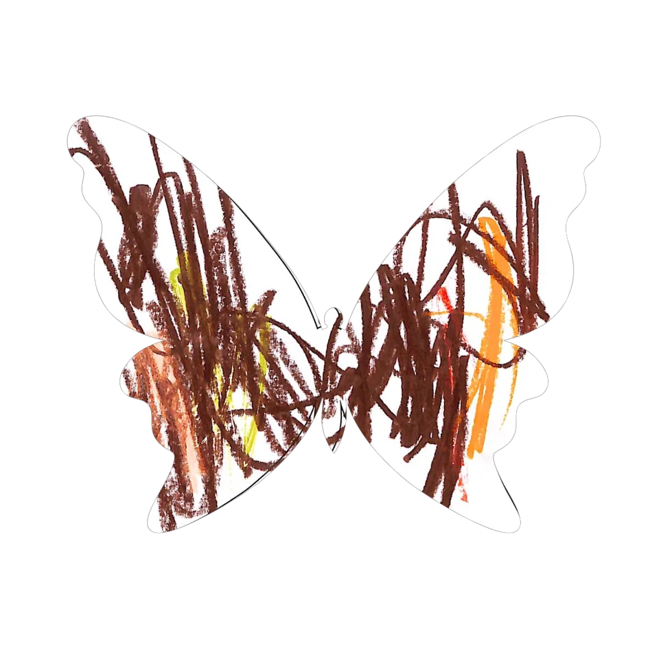 Original Butterfly Image