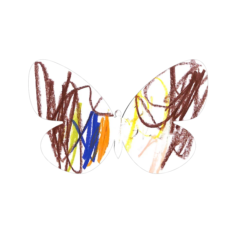Original Butterfly Image