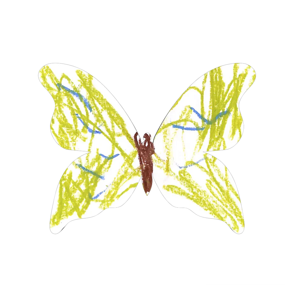 Original Butterfly Image
