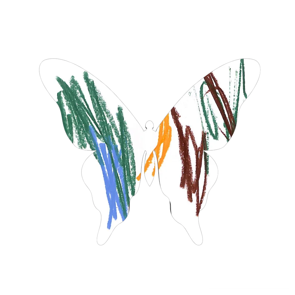 Original Butterfly Image