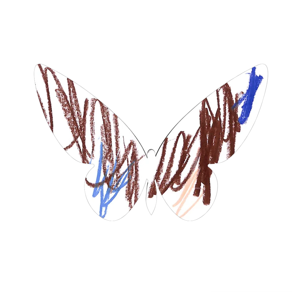 Original Butterfly Image