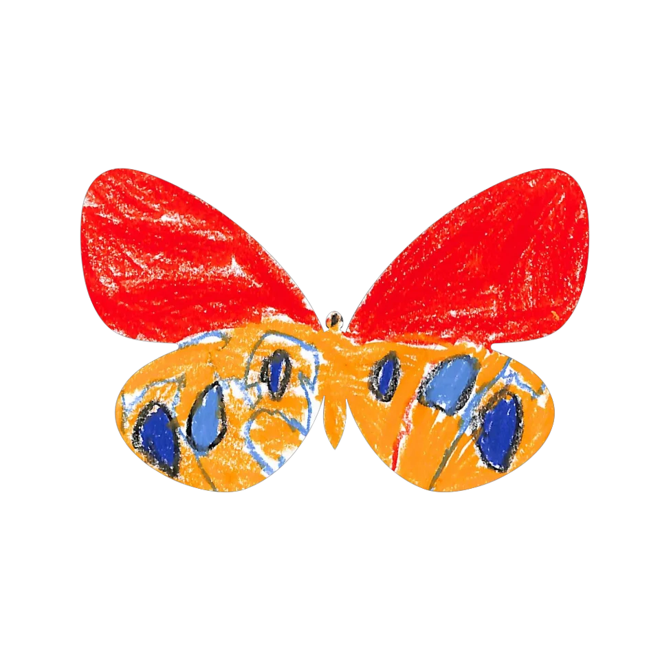 Original Butterfly Image