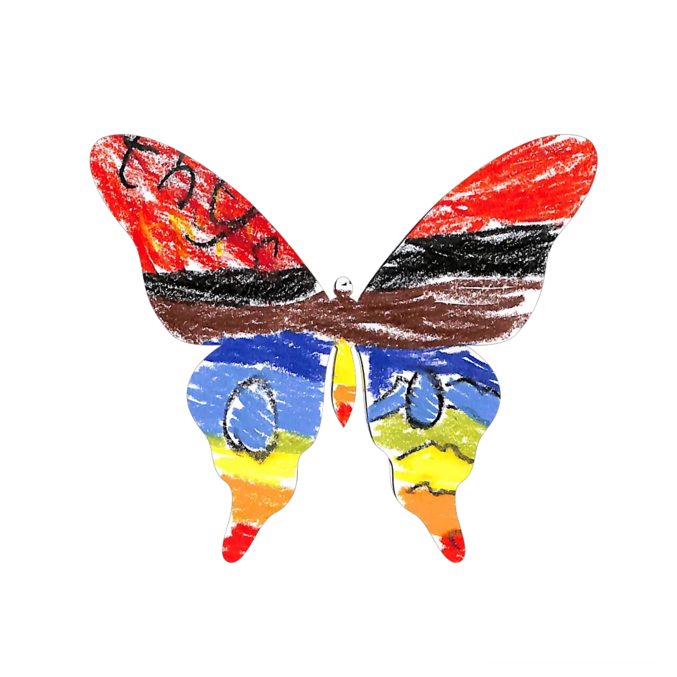 Original Butterfly Image