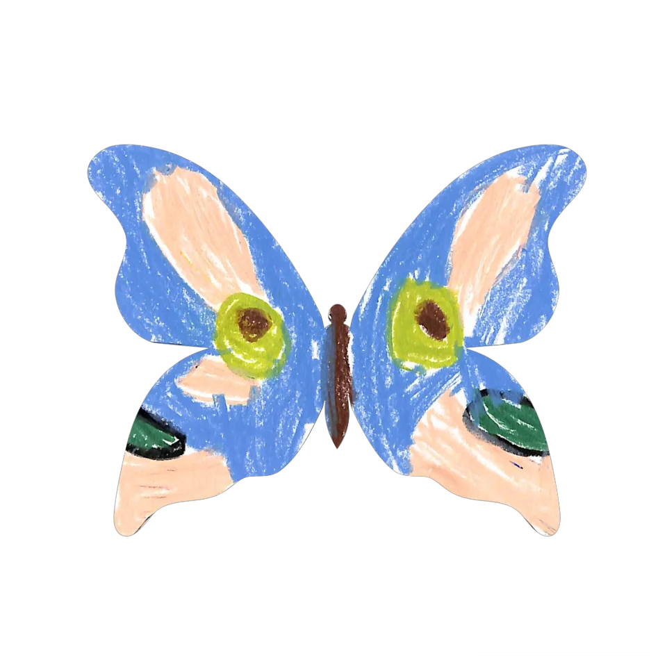 Original Butterfly Image
