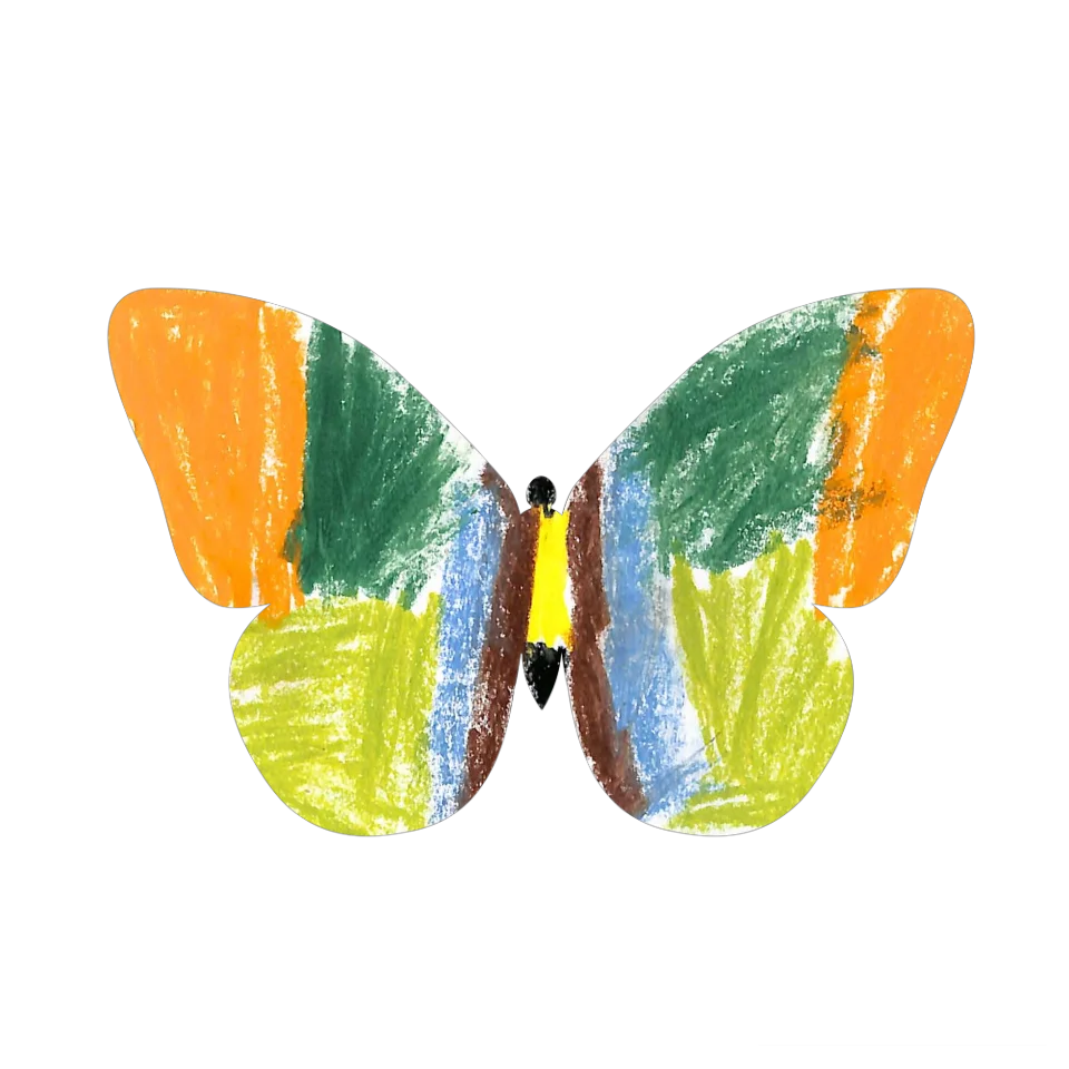 Original Butterfly Image