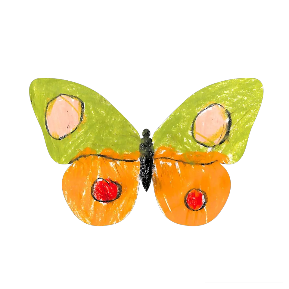 Original Butterfly Image