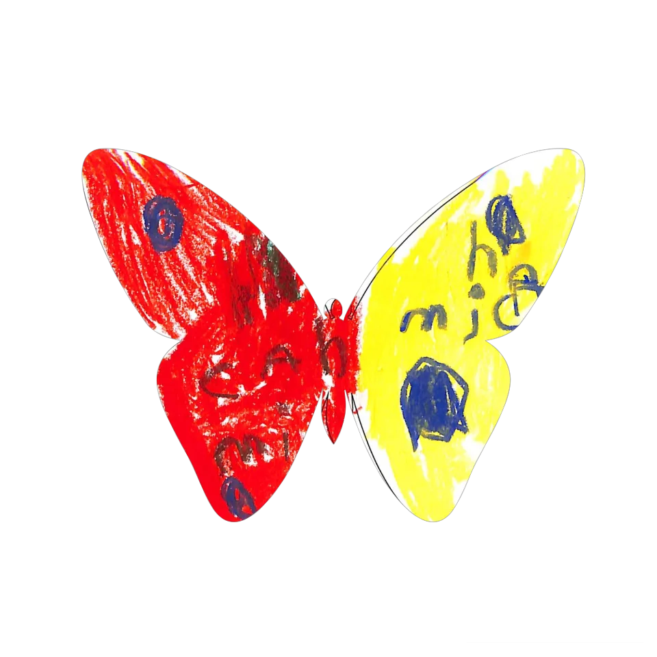 Original Butterfly Image
