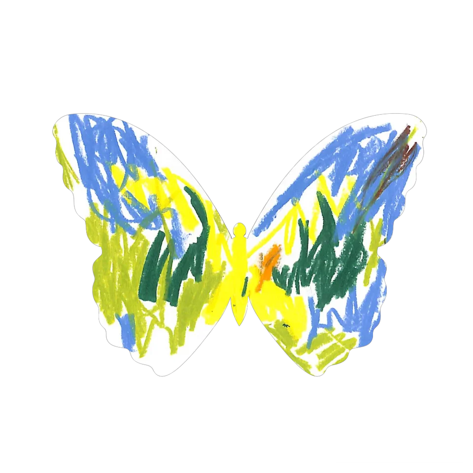Original Butterfly Image