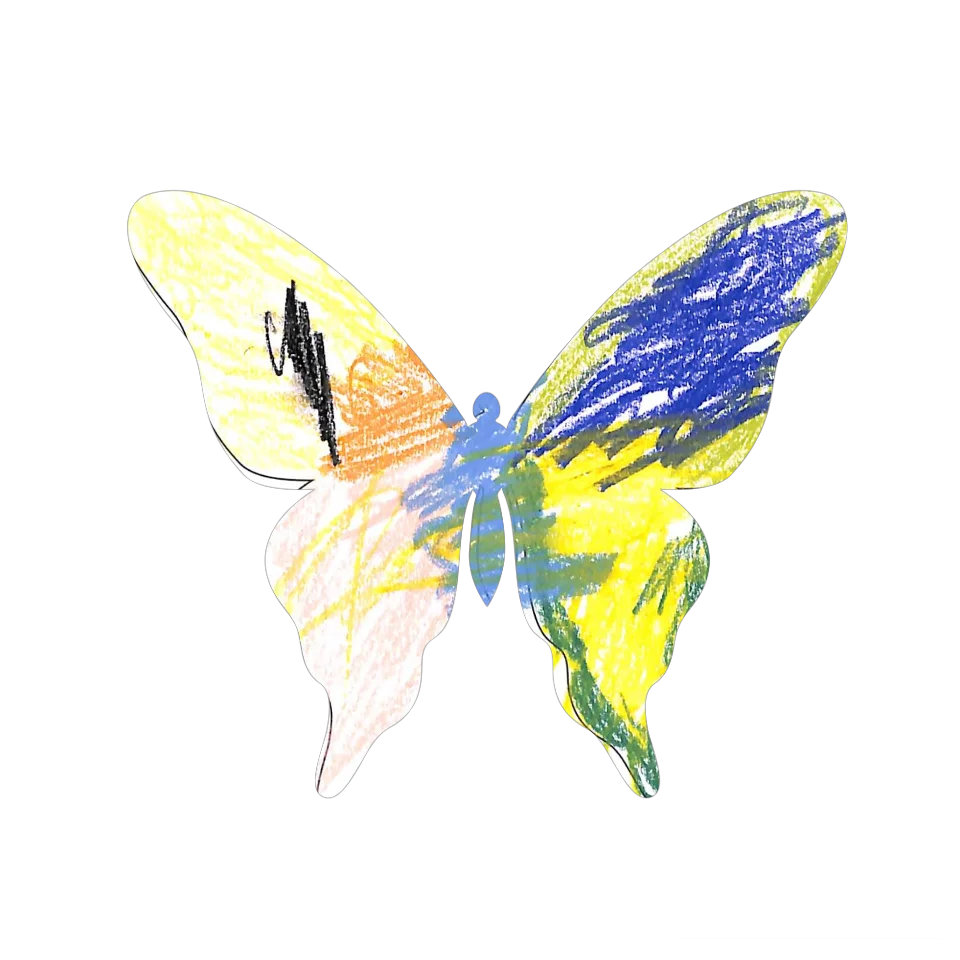 Original Butterfly Image