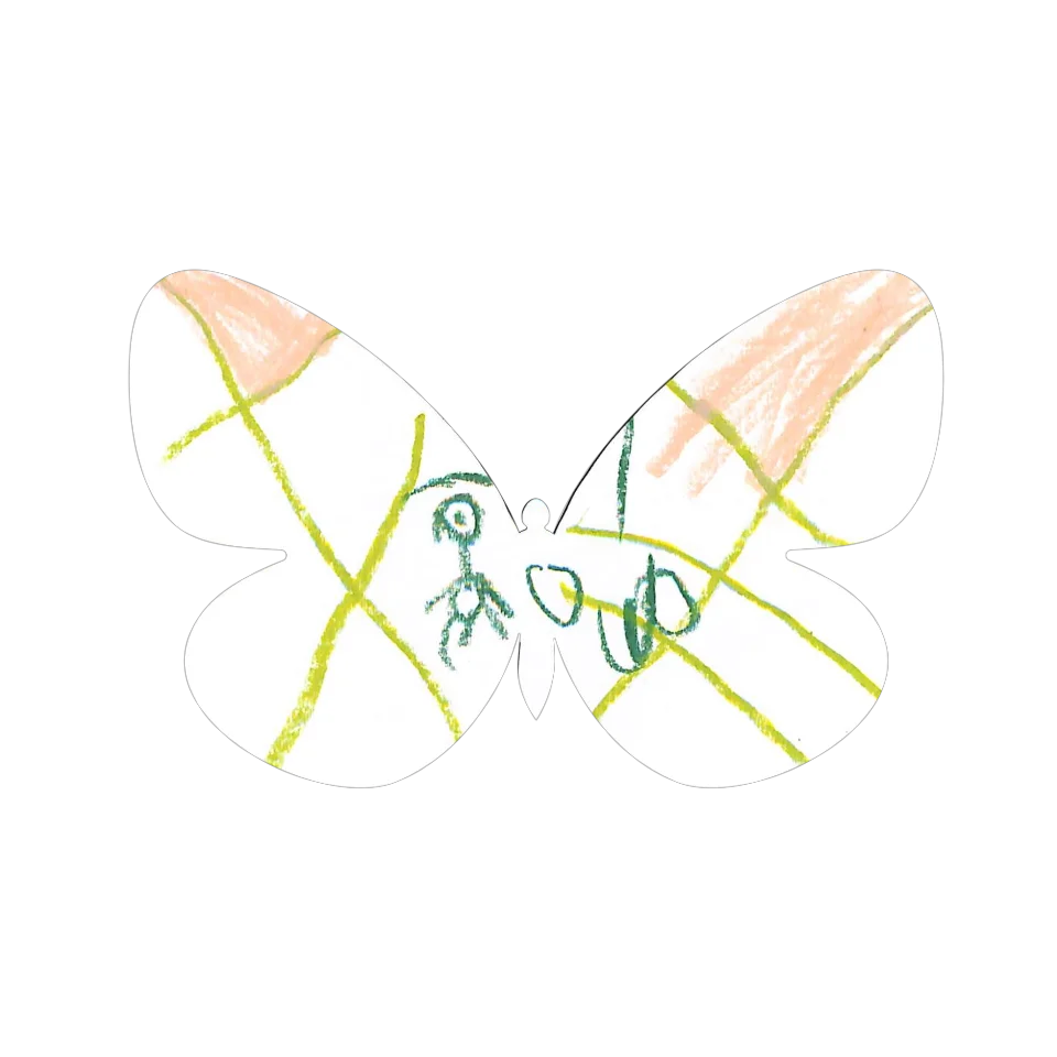 Original Butterfly Image