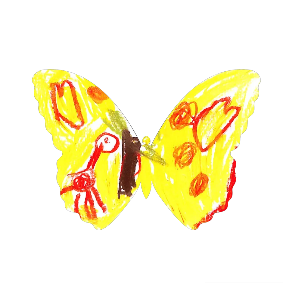 Original Butterfly Image