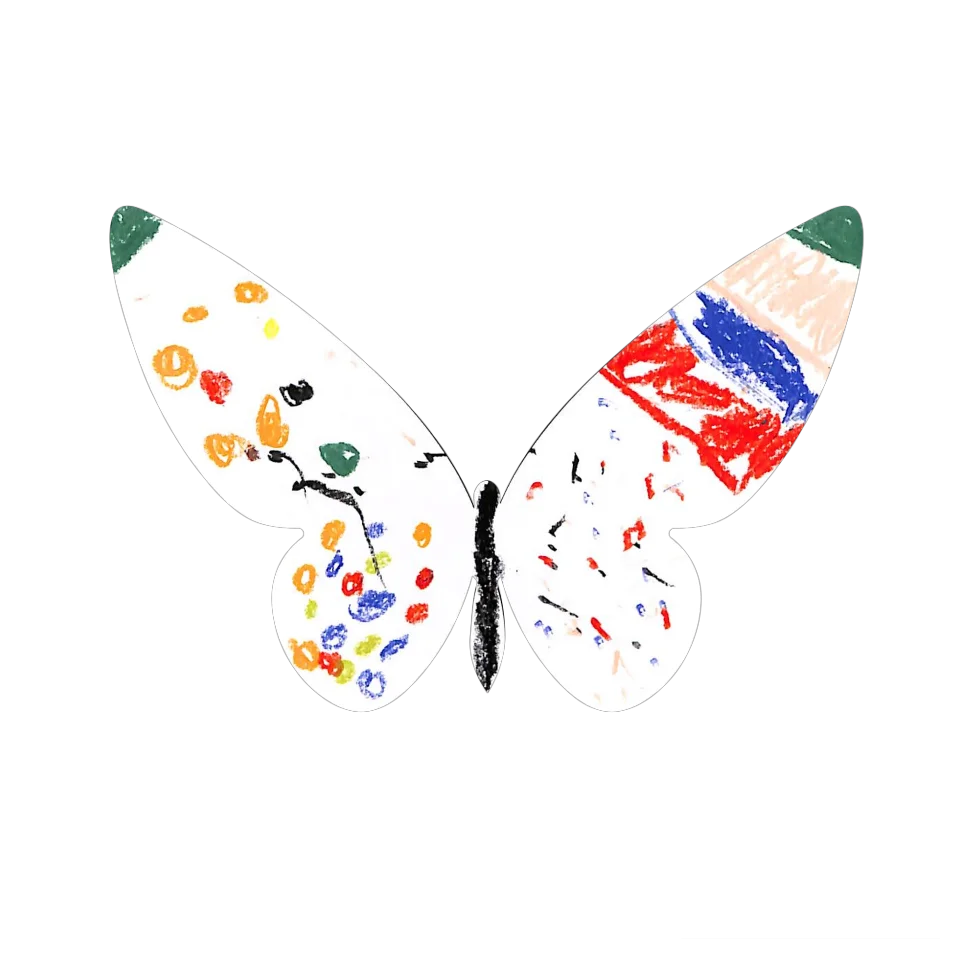 Original Butterfly Image