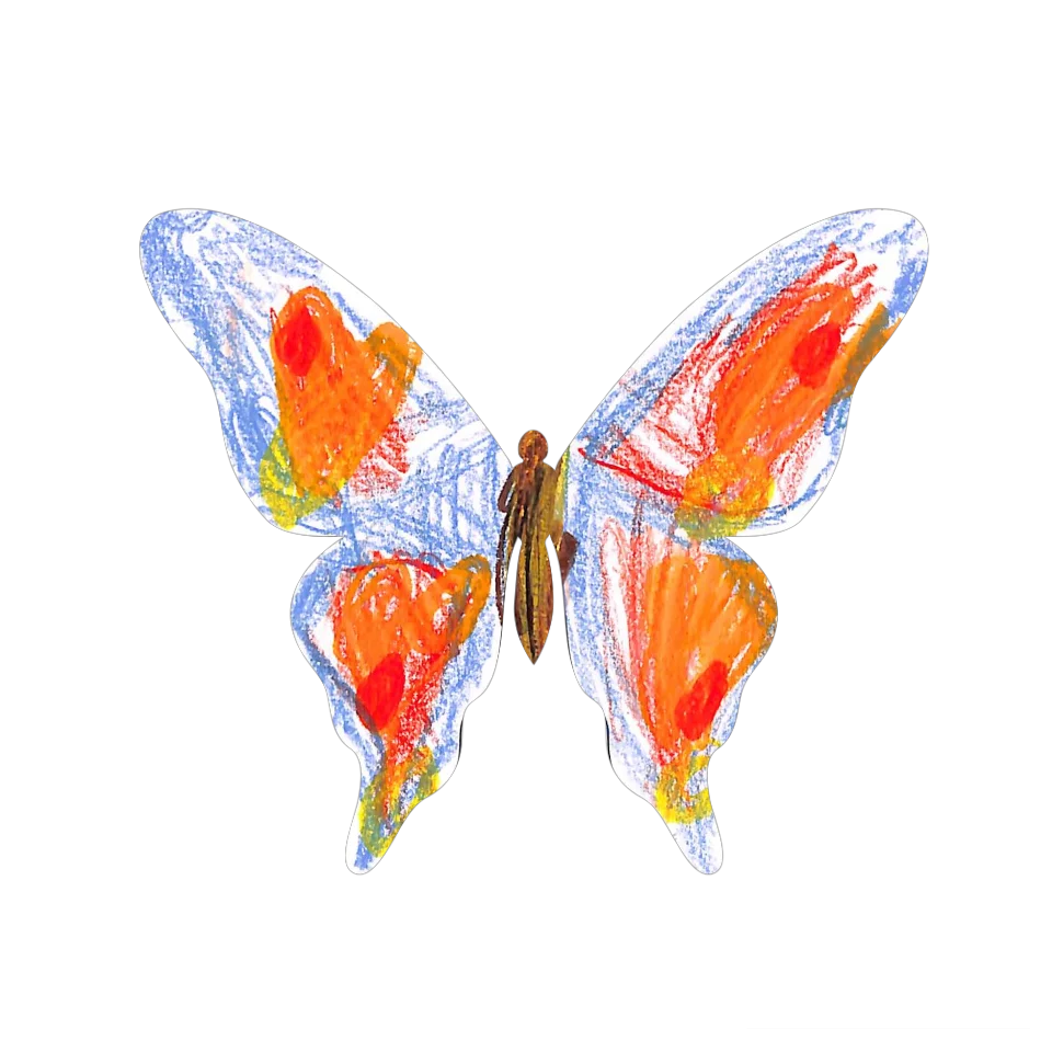 Original Butterfly Image