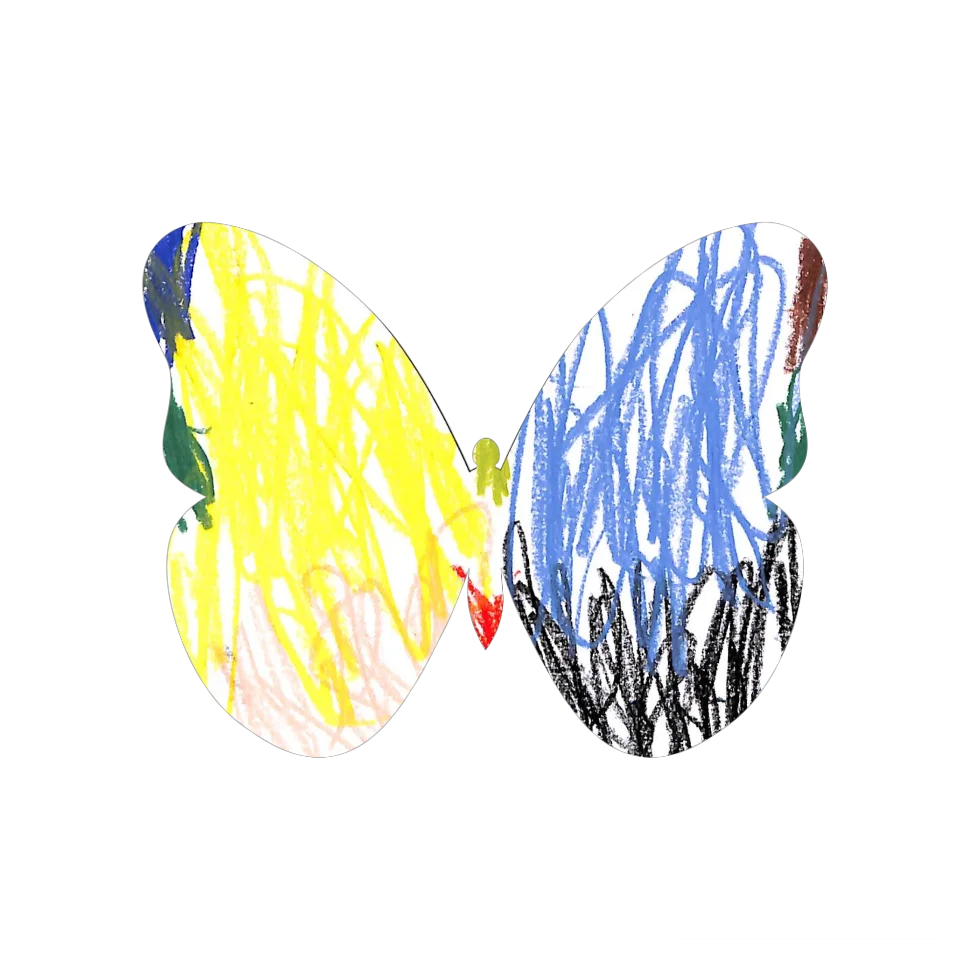 Original Butterfly Image