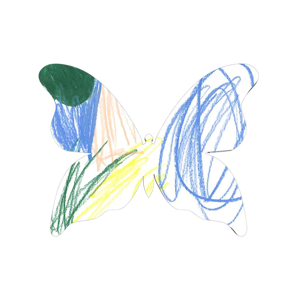 Original Butterfly Image