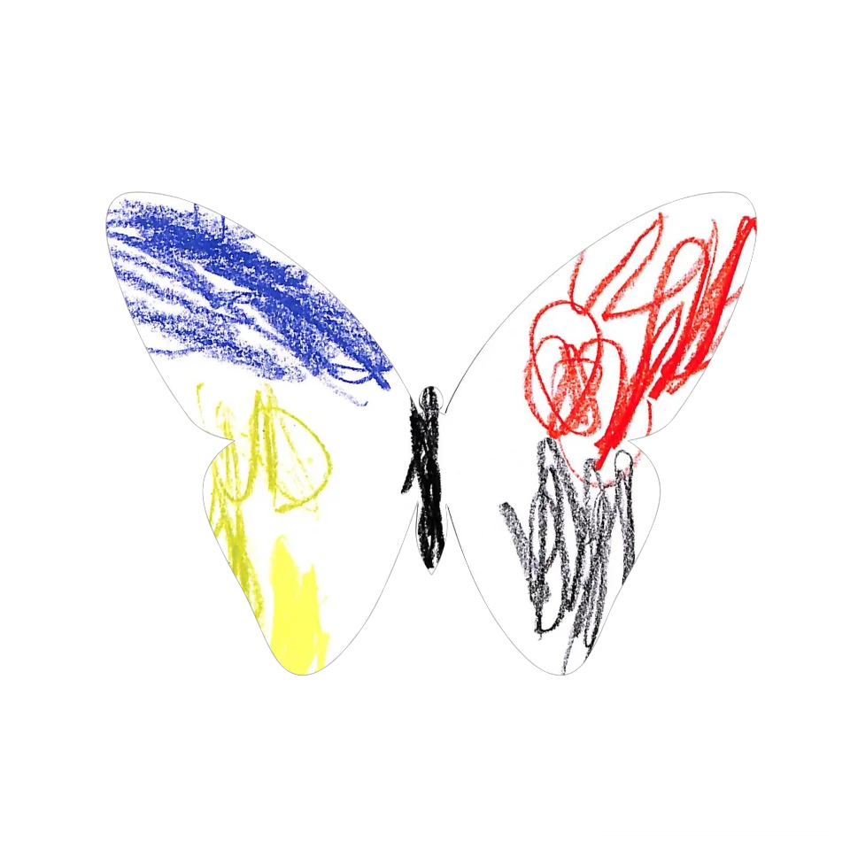 Original Butterfly Image