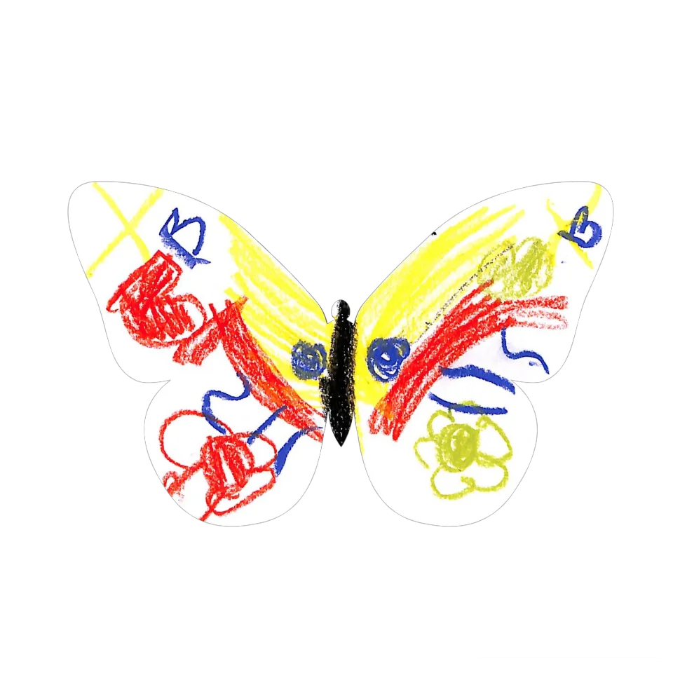 Original Butterfly Image