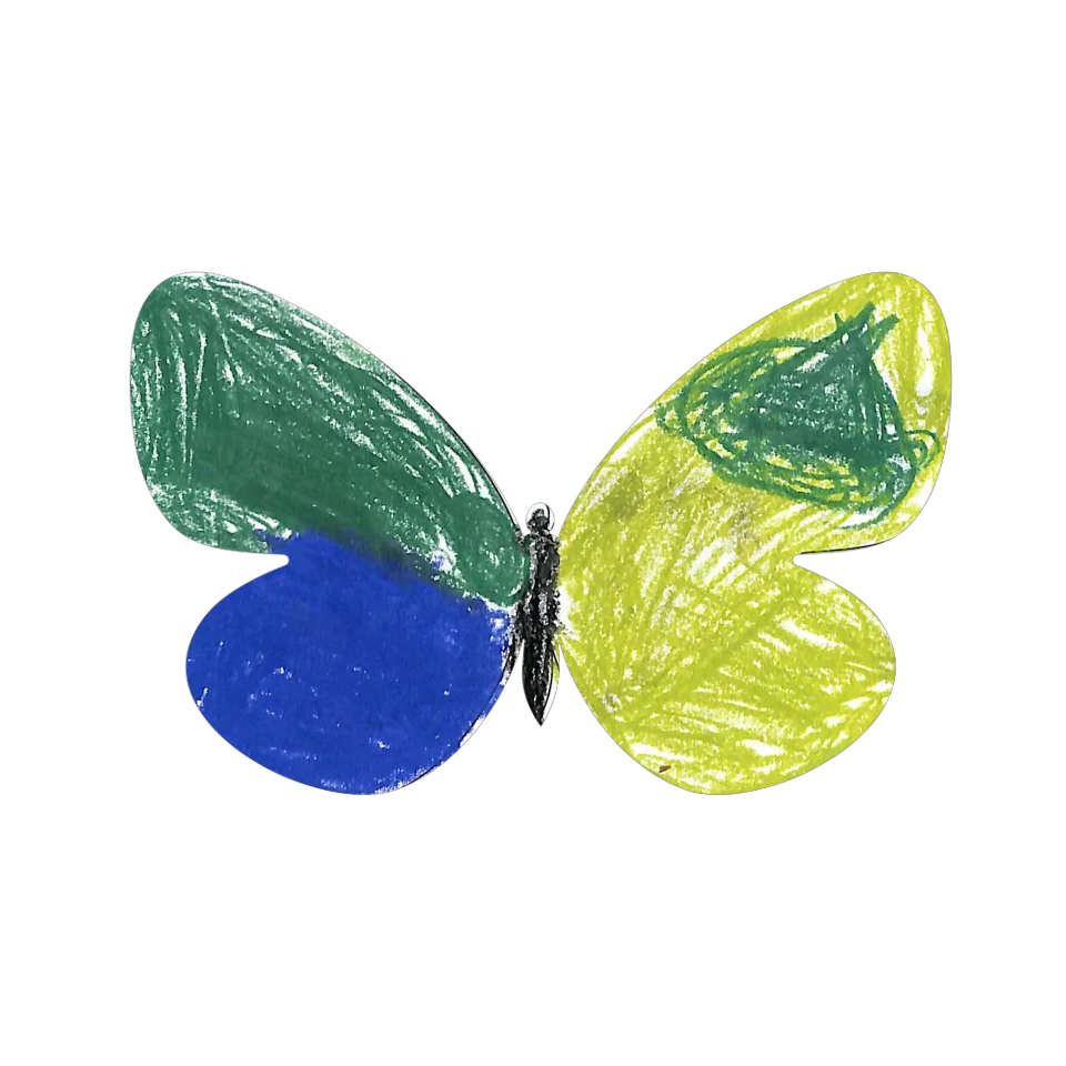 Original Butterfly Image