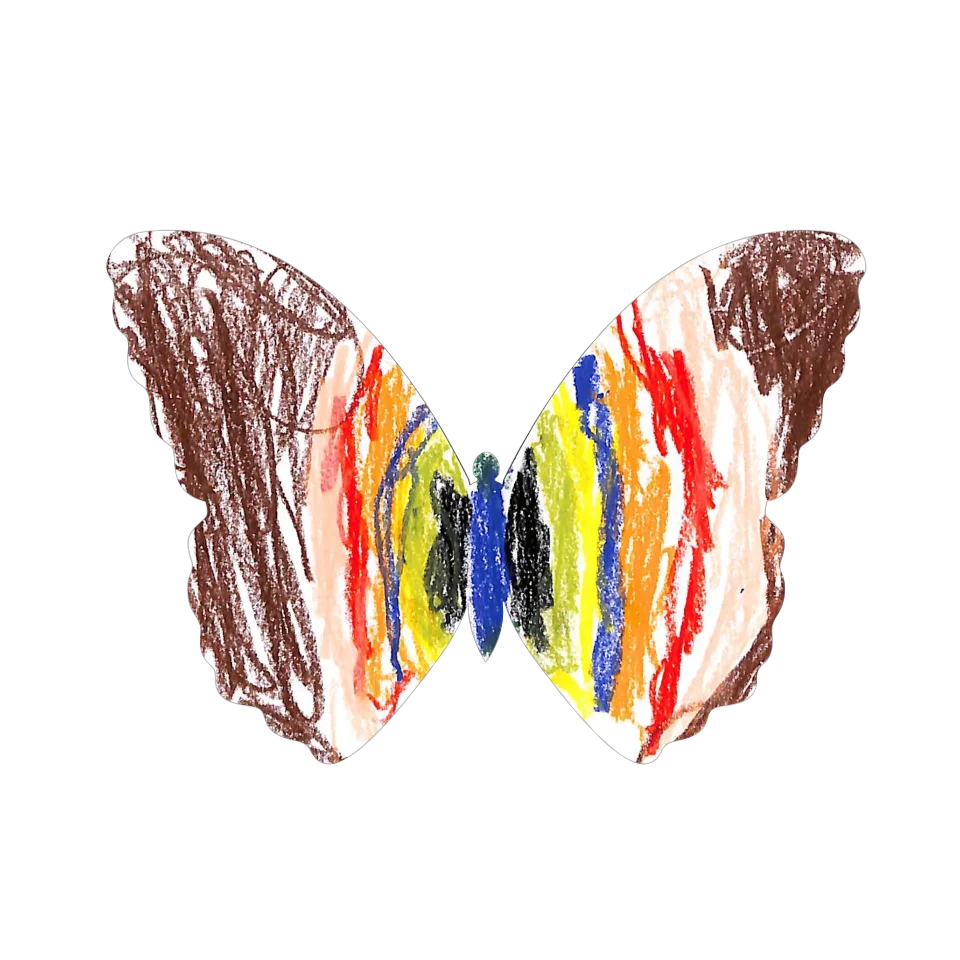 Original Butterfly Image